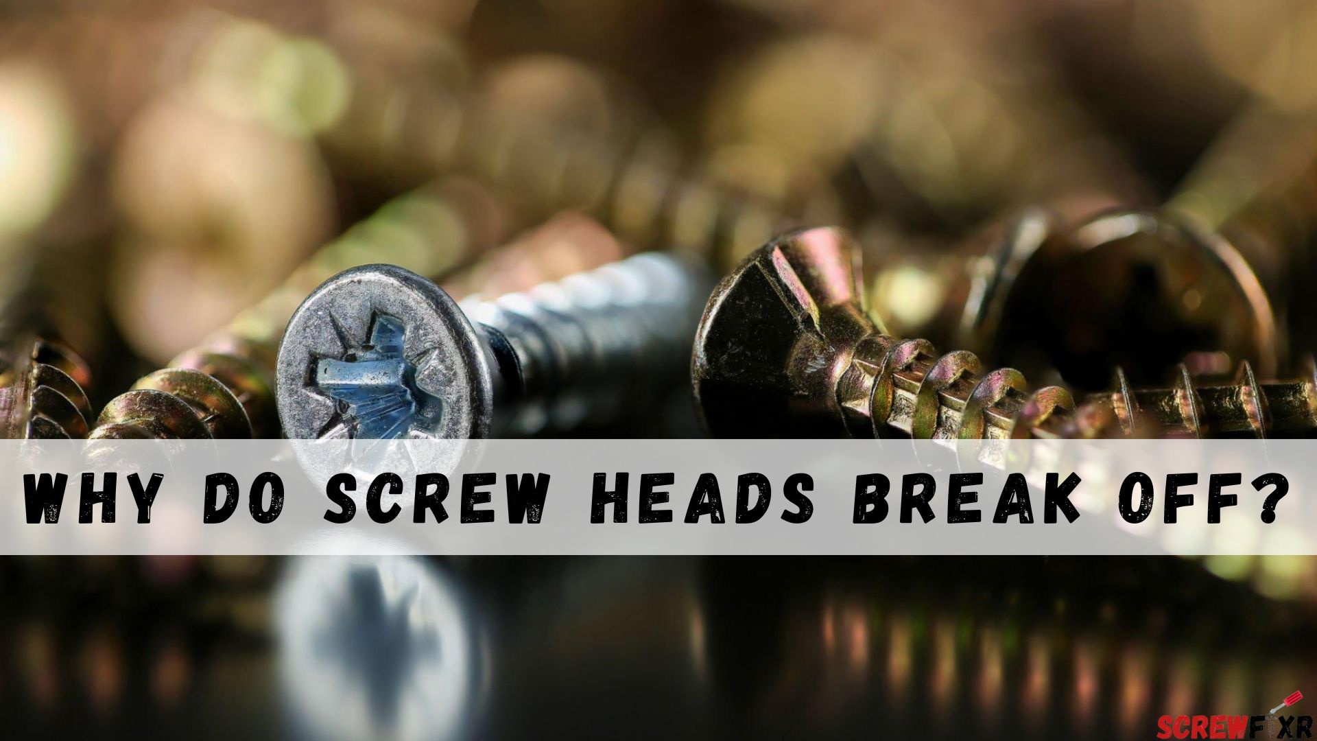 Why Do Screw Heads Break Off?