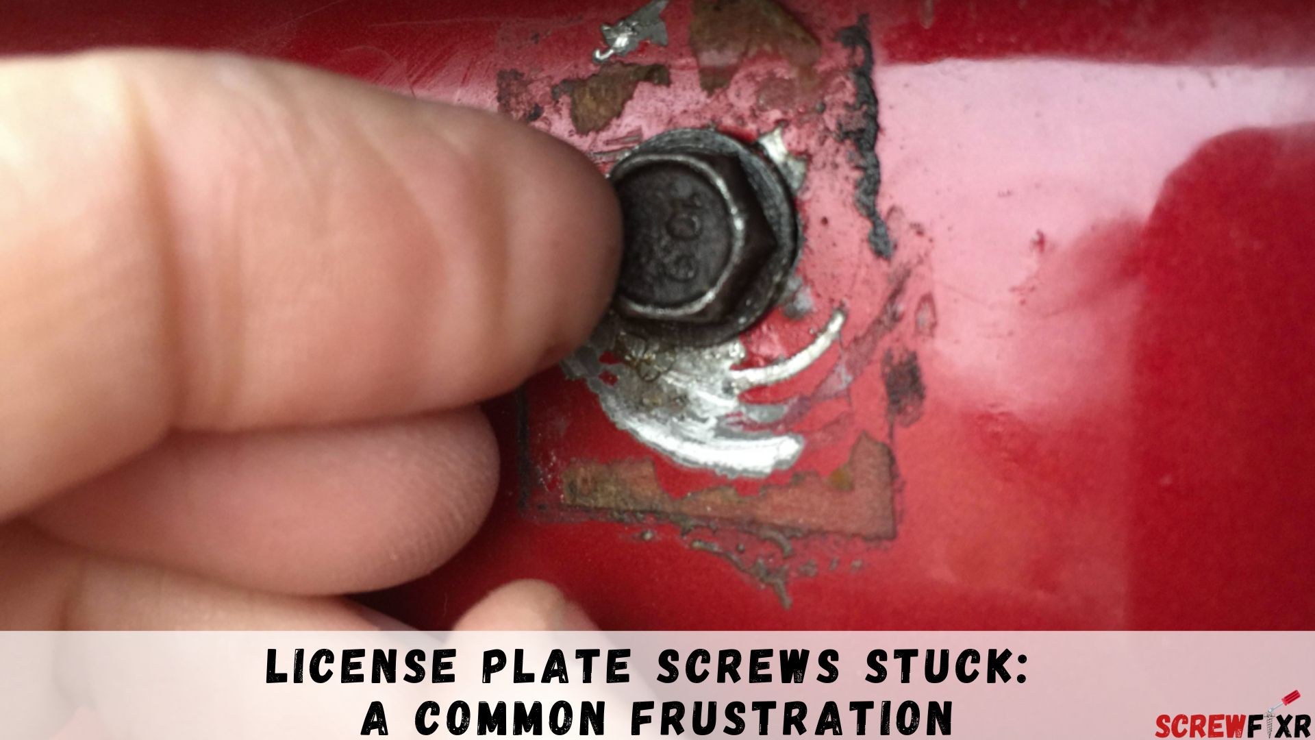 License Plate Screws Stuck