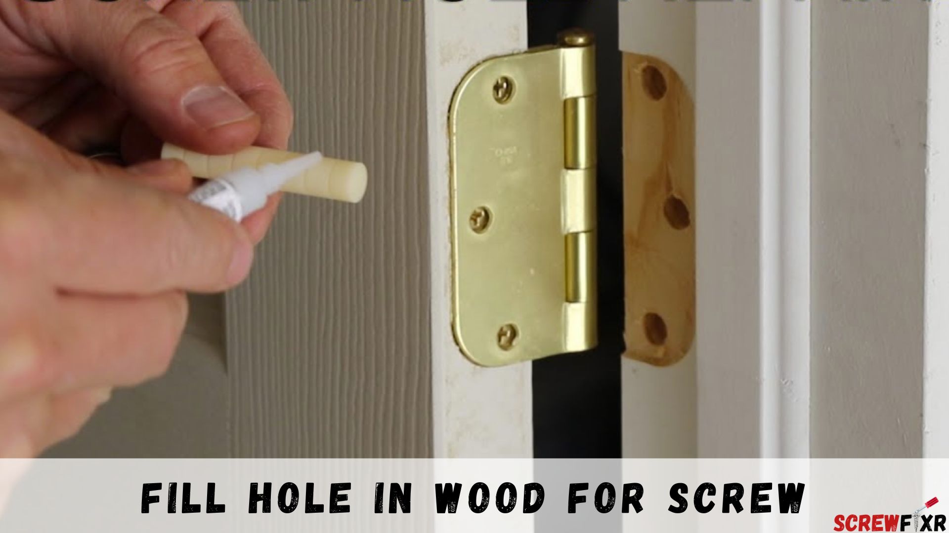 Fill Hole In Wood For Screw
